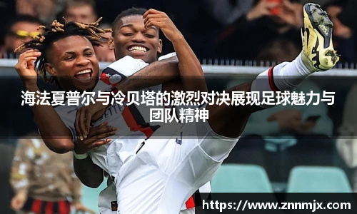 MKsport体育官网